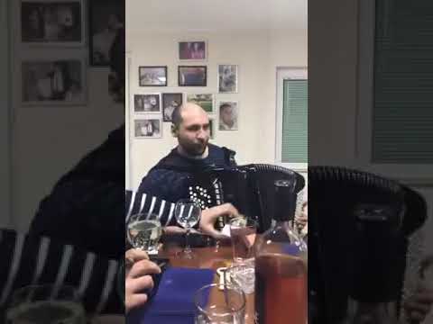 Gorila VS Aca Cergar 2021