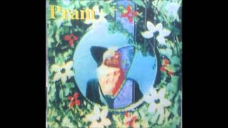 PRAM - Loose Threads (Drop Stitch)