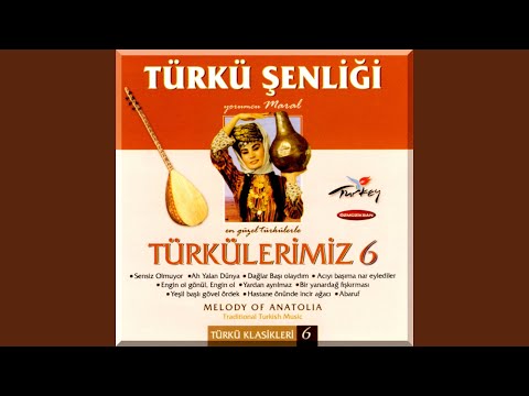 Video Yükleniyor...