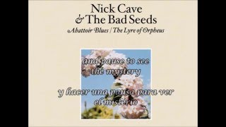 Nick Cave &amp; The Bad Seeds - Carry me traducida (English/Spanish)