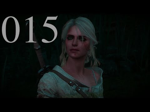 Witcher 3: Wild Hunt - Walkthrough [German] Part 15 [HD]