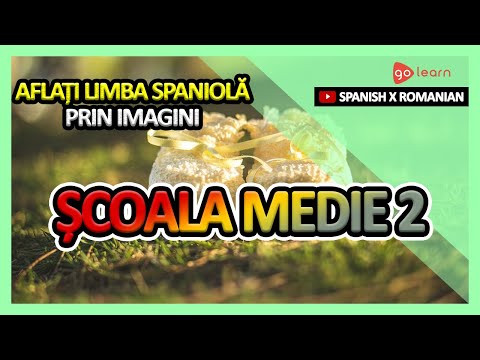Aflați Limba Spaniolă Prin Imagini |Vocabularul Limba Spaniolă Școala Medie 2 | Golearn