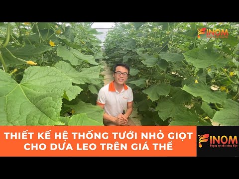 , title : 'THIẾT KẾ HỆ THỐNG TƯỚI NHỎ GIỌT CHO DƯA LEO TRÊN GIÁ THỂ'