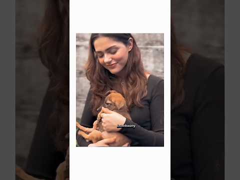 Aneet ❤️ with beautiful pet dogs 🐕 #aneetpadda #ahaanpanday #love #shorts