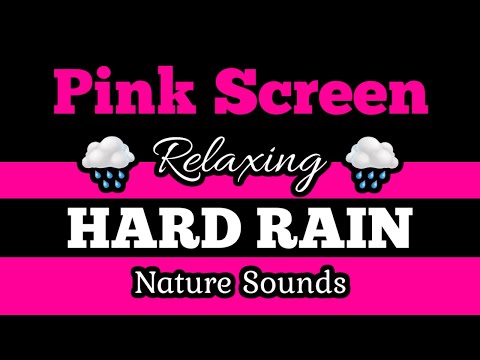 💟PINK SCREEN 🌧️HARD RAIN 🌲Soothing Nature Sounds