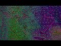 Glass Animals - Cocoa Hooves 