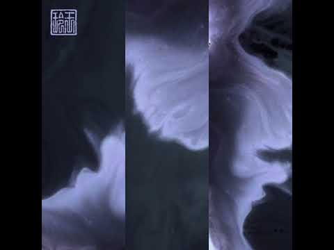 Ark Noir - Red Pill, Blue Pill (Polygonia Remix)