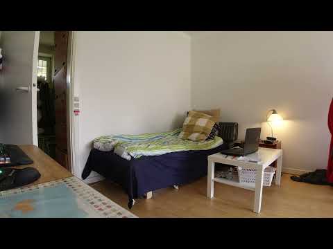 MongoTV_7028 - God FREDAG 3.September 2021 og Weekend - Skal Se Netflix