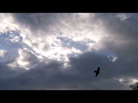 Time lapse using honor view 20