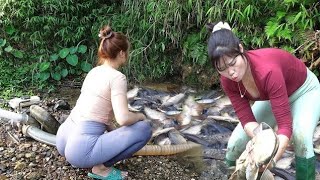 Top Video Fishing: Girl Fishing, Amazing Fishing Harvesting Lots Of Big Fish In The Wild
