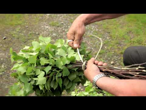 Ohjeet saunavihdan tekoon