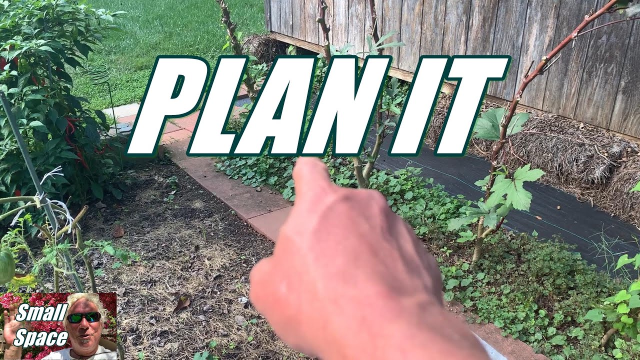 Planning Your Vegetable Garden For Spring 2022 in Zone 7