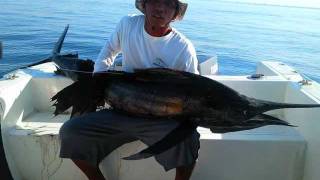 preview picture of video 'amed bali some fishing impressions from franmar64sportfishing.'