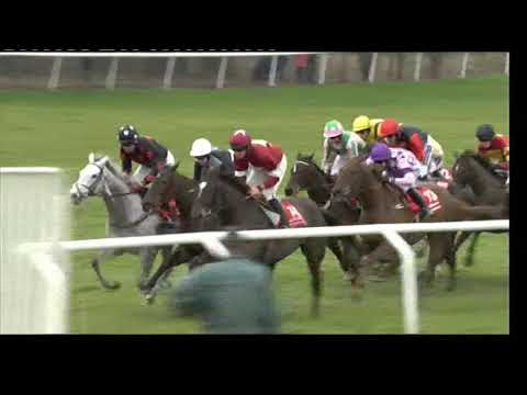 2010 Ladbrokes World Hurdle - Cheltenham Festival