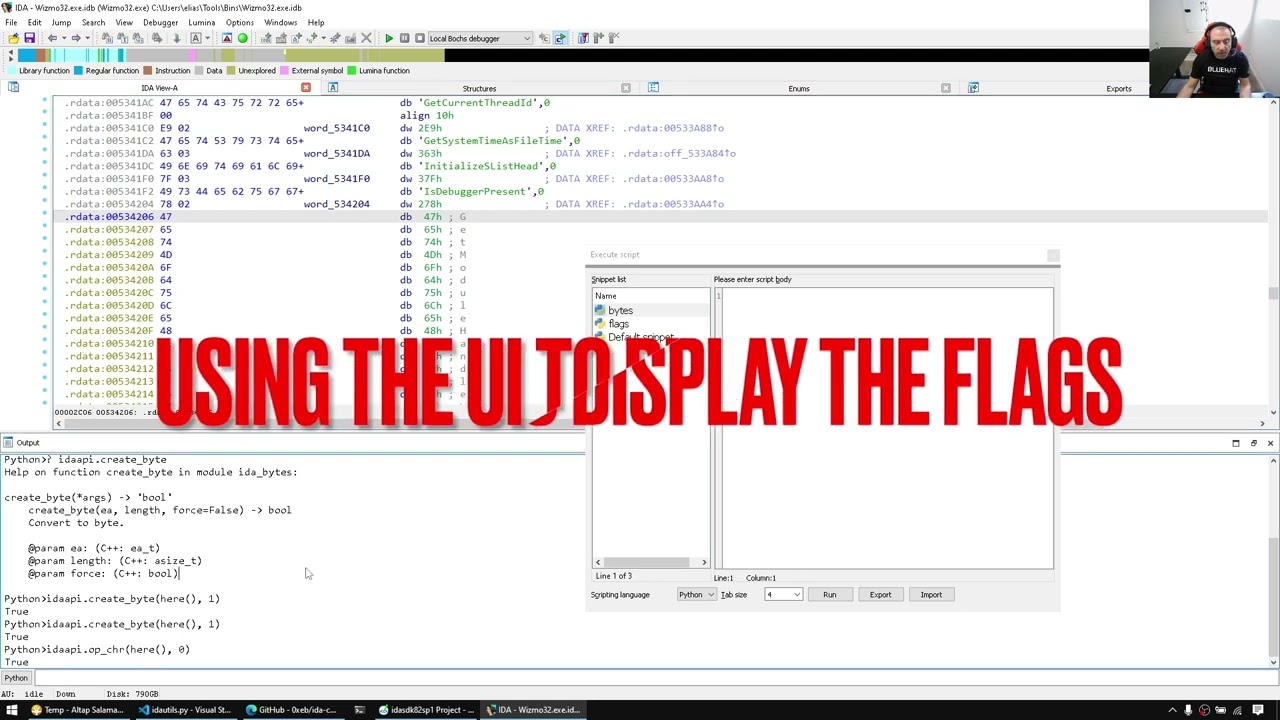 IDAPython: Disassembly items, bytes and strings