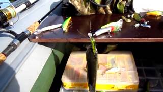Catana bx 210 shimano