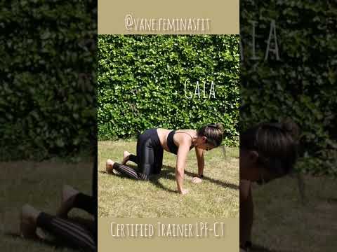 Hipopresivos LPF. GAIA (para principiantes) #abs #core #fajaabdominal #lpflovers #suelopelvico