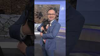 Get to know meteorologist Bradford Ambrose #news #sc #localnews