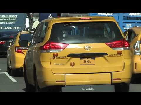 NYC Taxi Medallion Review