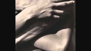 Ray LaMontagne - Shelter