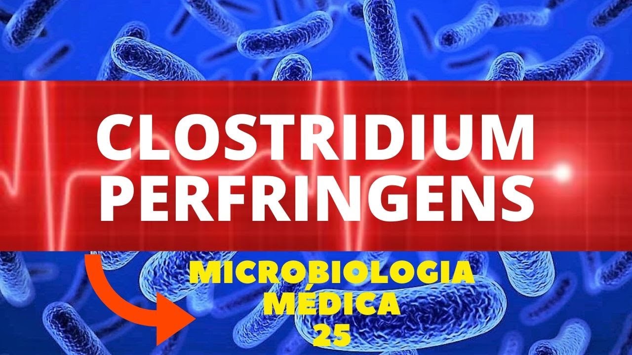 CLOSTRIDIUM PERFRINGENS - MICROBIOLOGIA MÉDICA - AULA 25