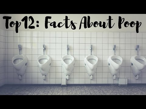 Top 12: Weird Facts About Poop (Human Poo)