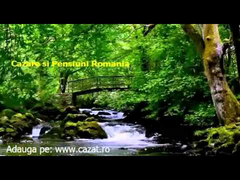 Cazare Mateesti, Valcea - Cazat.ro