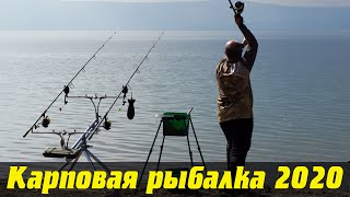Карповая ловля 2020 с владимиром николаевым