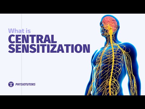 What is Central Sensitization? | Jo Nijs Explains