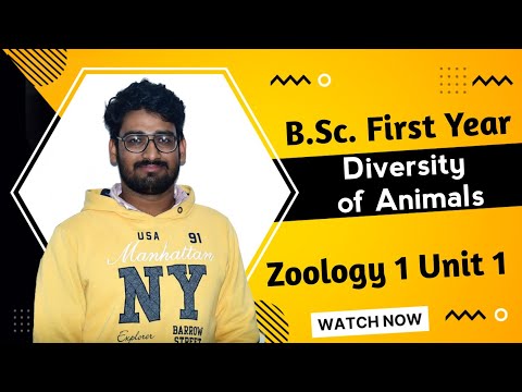 Diversity of Animals | B.Sc. First Ye | Zoology 1 Unit 1 Lecture 1