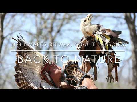Nightmares On Wax - Back To Nature feat. Kuauhtli Vasquez & Wixarika Tribe (432hz)