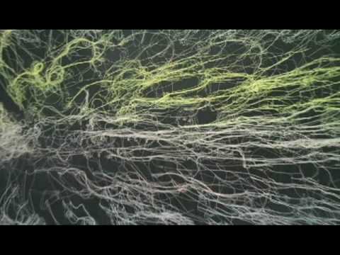 Brooklyn, New York - Art openings!