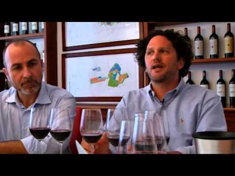 JAMESSUCKLING.COM - Bolgheri - Ornellaia - The Wine