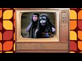 Siskel Ebert Review Quest For Fire Union City The Amateurs Evil Under The Sun