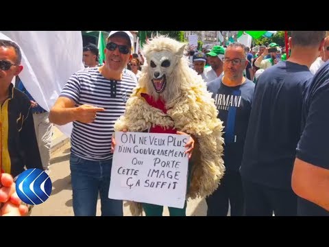 الجمعة 16 في الجزائر.. الحراك يرفض الاستسلام وينتفض ضد بن صالح