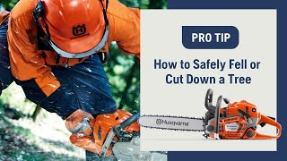 How to Fell or Cut Down a Tree Using a Chainsaw