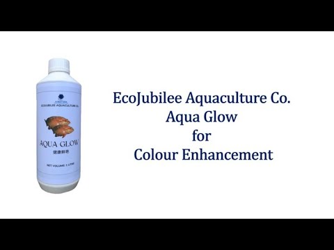 AquaGlow the super supplement to enhance fish colour