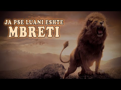 PSE LUANI Quhet MBRETI  i Xhunglës | ALB EXPLORE