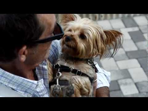 King Baby Hand Made in USA 2011