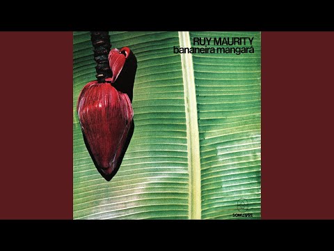 Pelo Sinal - Ruy Maurity