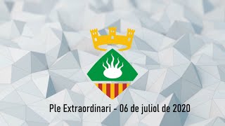 Ple extraordinari 6 de Juliol de 2020
