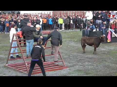 San Anton - Vaquillas