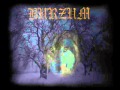 Burzum - Vanvidd