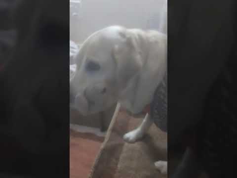 Sherry got a beautiful gift from Jinal.....