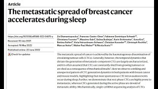 암세포는 낮이 아닌 밤에 퍼집니다.