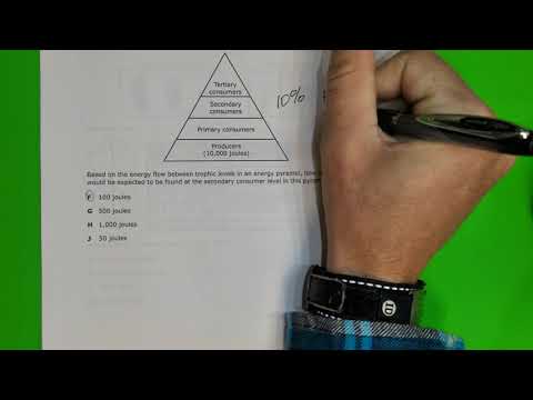 May 2022 Staar Biology Answer Key