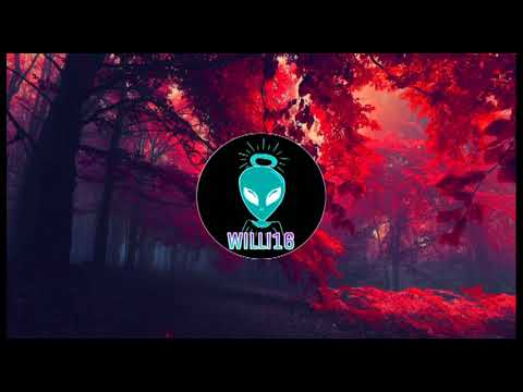 Flux Pavilion x NGHTMRE - Feel Your Love vs PhaseOne - Welcome To Mayhem (VIP)