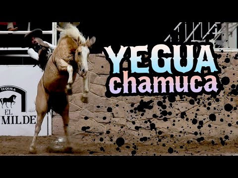 Adrenaline Charra Yegua Ladina - The Mare Riding - Riders vs. Mares