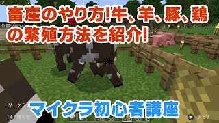 マイクラ初心者講座 ベッドの作り方とリスポーン地点の設定方法を紹介 マインクラフト Minecraft スイッチ 統合版 Be تنزيل الموسيقى Mp3 مجانا マイクラ初心者講座 ベッドの作り方とリスポーン地点の設定方法を紹介 マインクラフト Minecraft スイッチ 統合版 Be تنزيل الموسيقى Mp3 مجانا