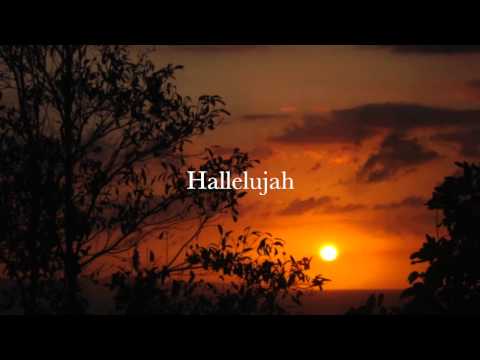 download lagu mp3 mp4 Agnus Dei Lyrics Deutsch, download lagu Agnus Dei Lyrics Deutsch gratis, unduh video klip Agnus Dei Lyrics Deutsch